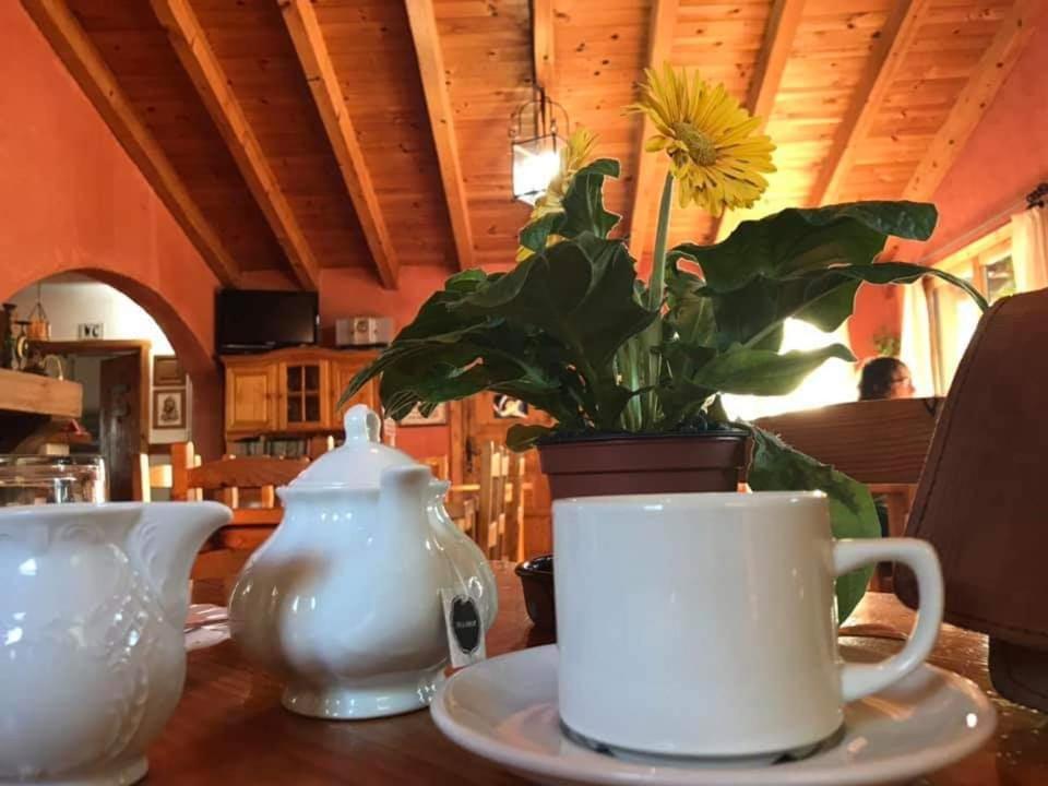 Hostal Rural Casa Pedro San Martín de Unx Zewnętrze zdjęcie