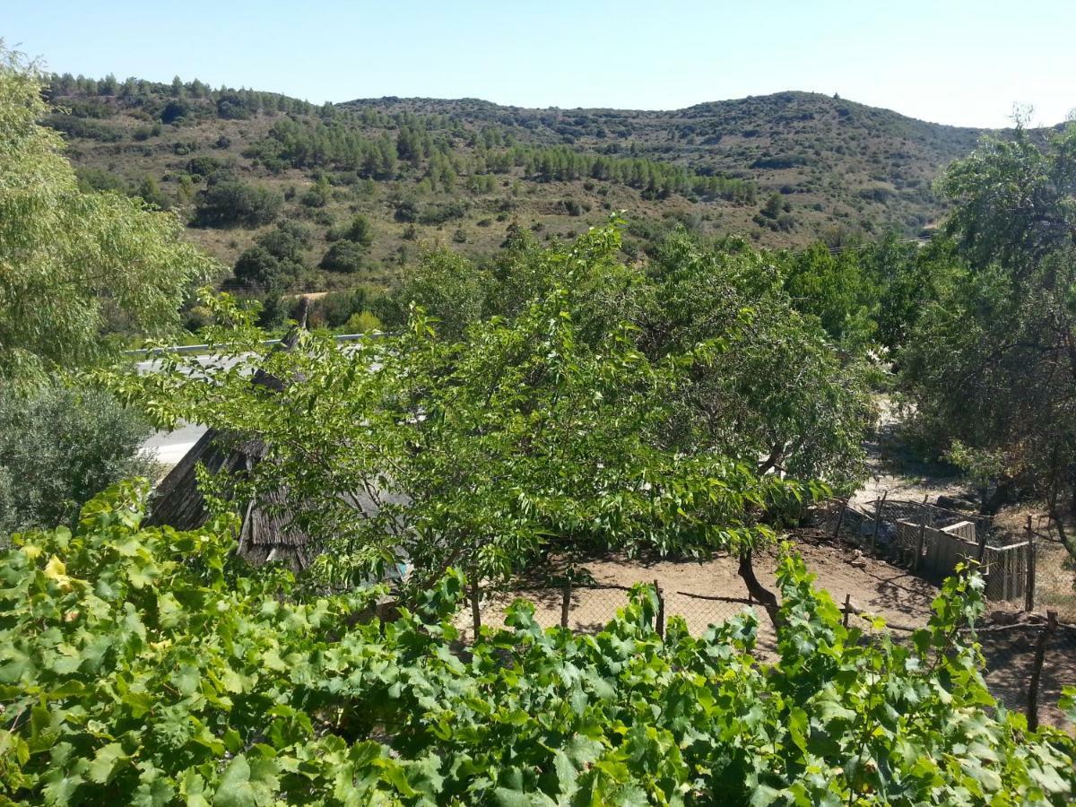 Hostal Rural Casa Pedro San Martín de Unx Zewnętrze zdjęcie